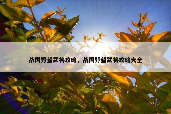 战国野望武将攻略，战国野望武将攻略大全