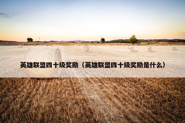 英雄联盟四十级奖励（英雄联盟四十级奖励是什么）
