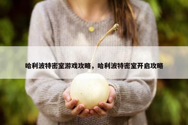 哈利波特密室游戏攻略，哈利波特密室开启攻略
