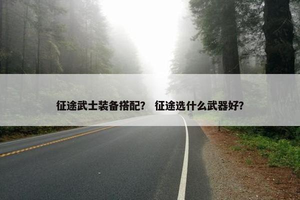 征途武士装备搭配？ 征途选什么武器好？