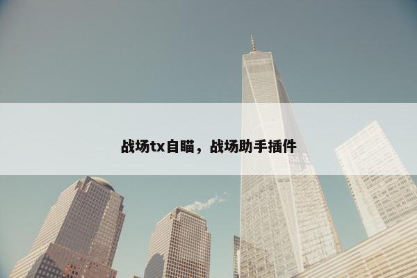 战场tx自瞄，战场助手插件