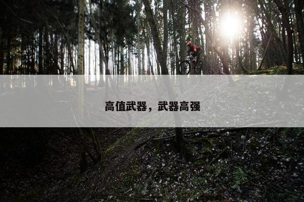 高值武器，武器高强