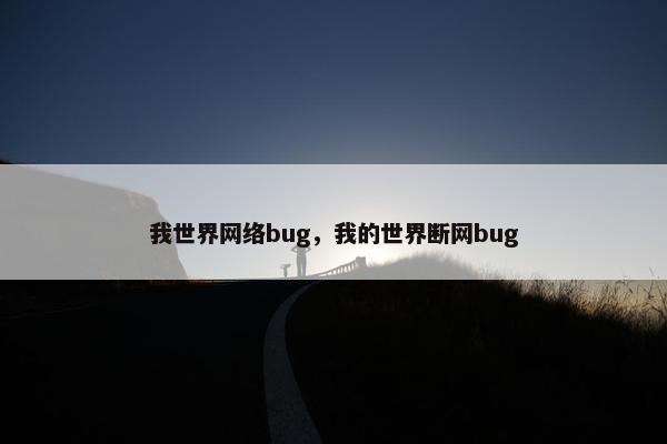 我世界网络bug，我的世界断网bug