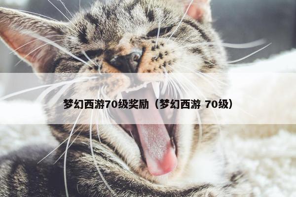 梦幻西游70级奖励（梦幻西游 70级）