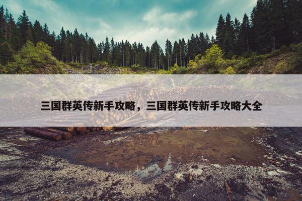 三国群英传新手攻略，三国群英传新手攻略大全