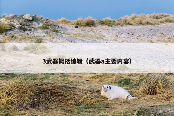 3武器概括编辑（武器a主要内容）