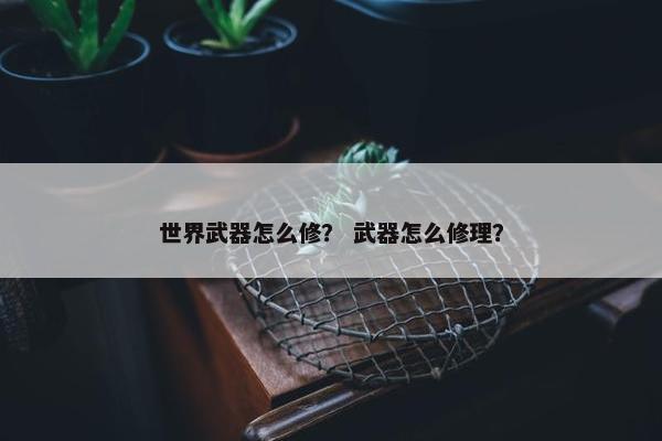 世界武器怎么修？ 武器怎么修理？