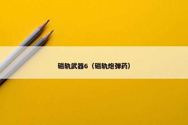 磁轨武器6（磁轨炮弹药）