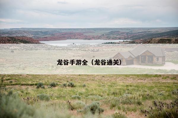 龙谷手游全（龙谷通关）