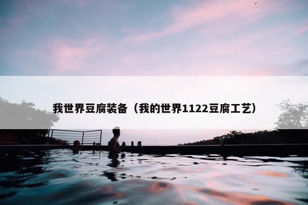 我世界豆腐装备（我的世界1122豆腐工艺）