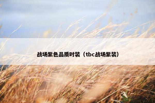 战场紫色品质时装（tbc战场紫装）