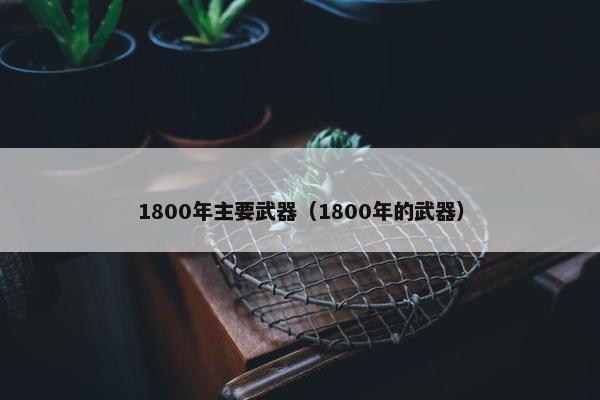 1800年主要武器（1800年的武器）