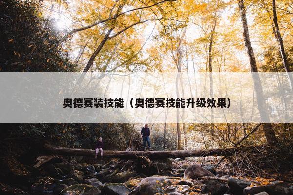 奥德赛装技能（奥德赛技能升级效果）