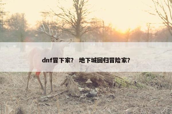 dnf冒下家？ 地下城回归冒险家？