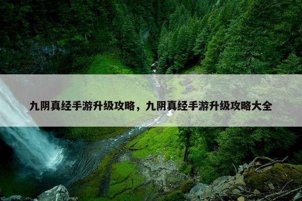 九阴真经手游升级攻略，九阴真经手游升级攻略大全