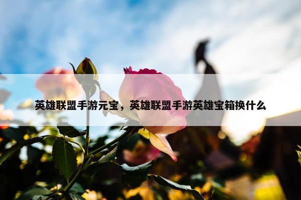 英雄联盟手游元宝，英雄联盟手游英雄宝箱换什么