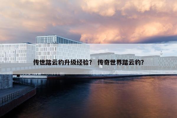 传世踏云豹升级经验？ 传奇世界踏云豹？
