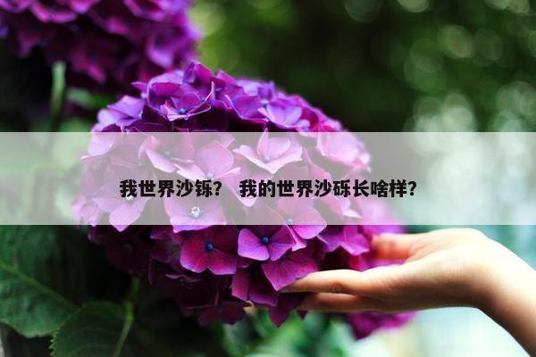我世界沙铄？ 我的世界沙砾长啥样？