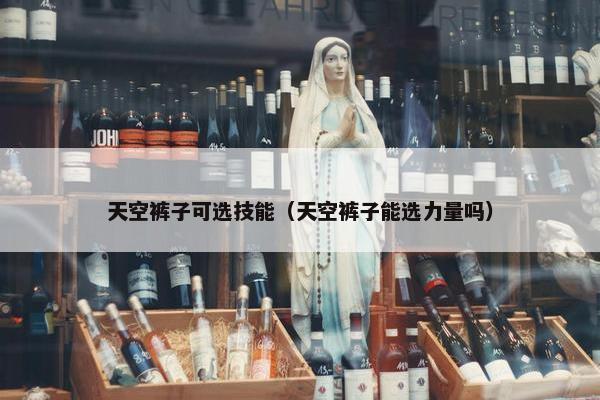 天空裤子可选技能（天空裤子能选力量吗）