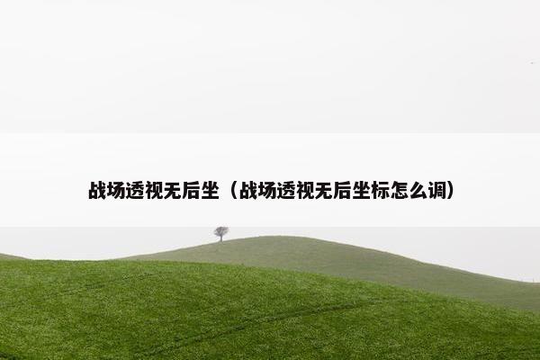 战场透视无后坐（战场透视无后坐标怎么调）
