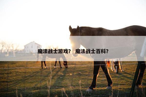魔法战士游戏？ 魔法战士百科？