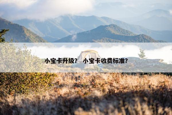 小宝卡升级？ 小宝卡收费标准？