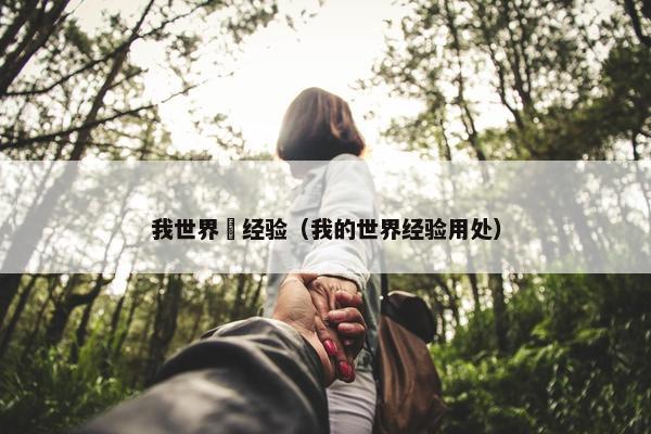 我世界給经验（我的世界经验用处）