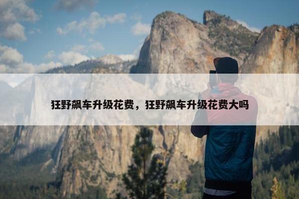 狂野飙车升级花费，狂野飙车升级花费大吗