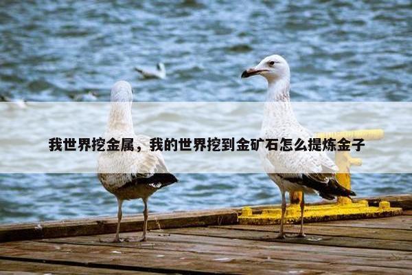 我世界挖金属，我的世界挖到金矿石怎么提炼金子