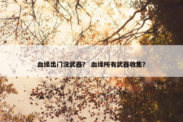 血缘出门没武器？ 血缘所有武器收集？