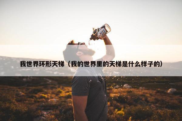我世界环形天梯（我的世界里的天梯是什么样子的）