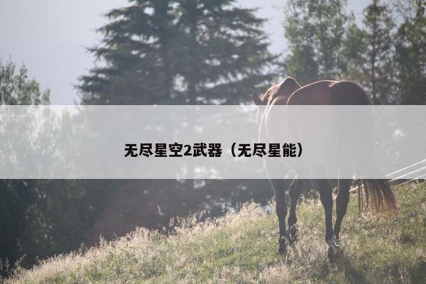 无尽星空2武器（无尽星能）