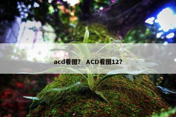 acd看图？ ACD看图12？
