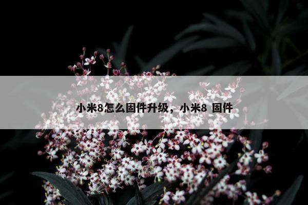 小米8怎么固件升级，小米8 固件