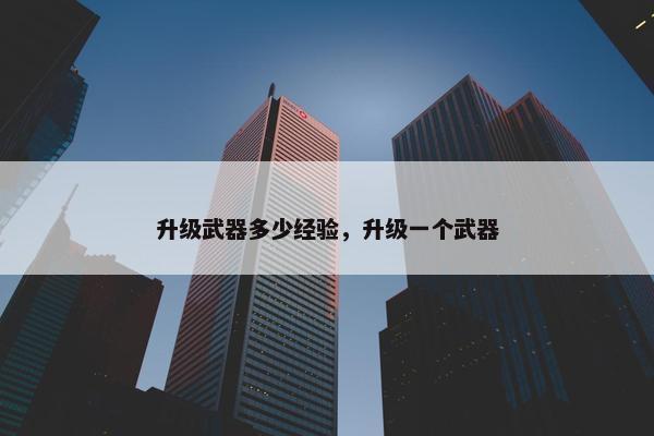 升级武器多少经验，升级一个武器