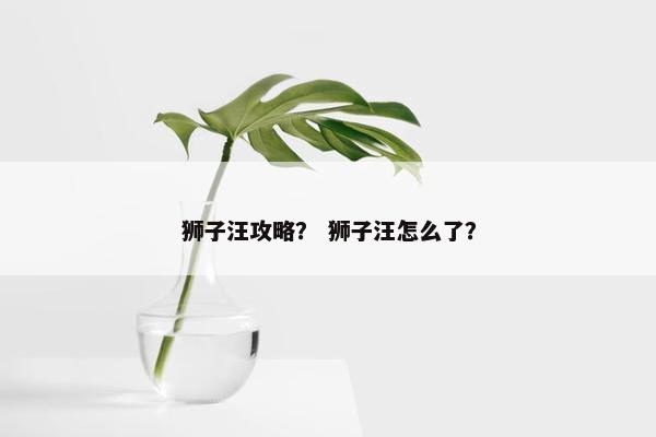 狮子汪攻略？ 狮子汪怎么了？