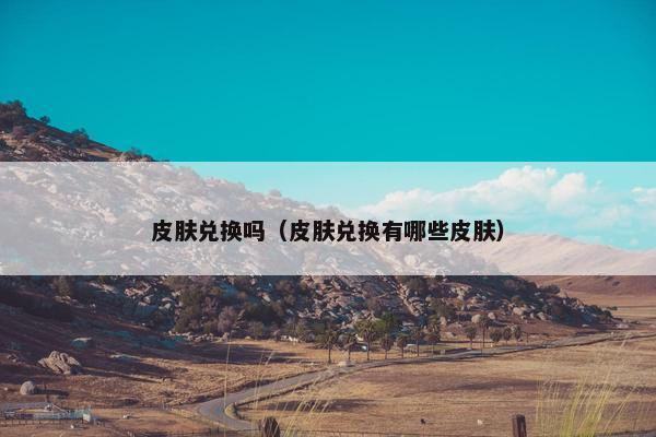 皮肤兑换吗（皮肤兑换有哪些皮肤）