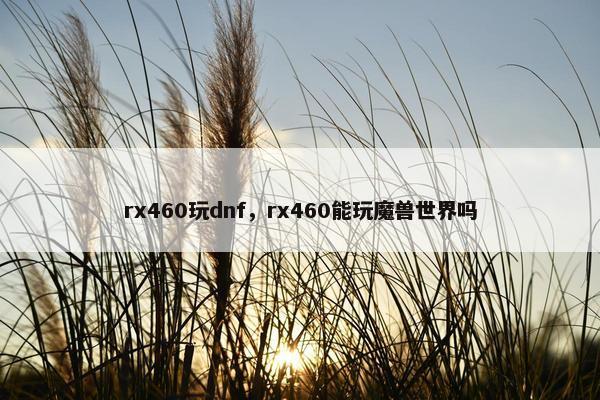 rx460玩dnf，rx460能玩魔兽世界吗