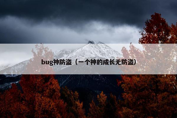 bug神防盗（一个神的成长无防盗）