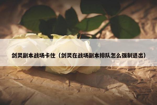 剑灵副本战场卡住（剑灵在战场副本排队怎么强制退出）