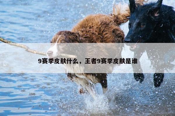 9赛季皮肤什么，王者9赛季皮肤是谁