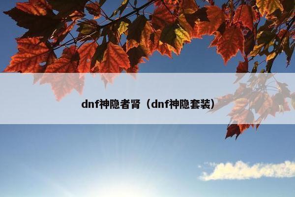 dnf神隐者肾（dnf神隐套装）