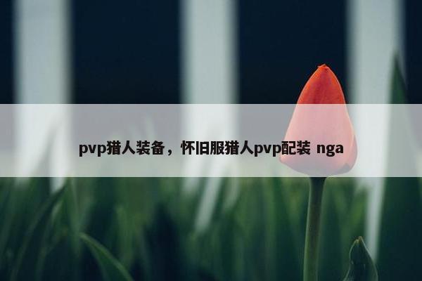 pvp猎人装备，怀旧服猎人pvp配装 nga