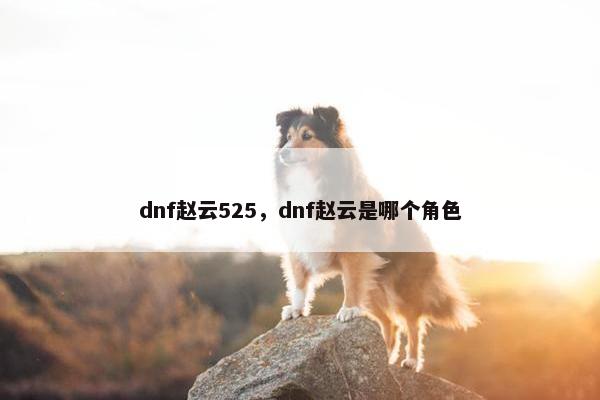 dnf赵云525，dnf赵云是哪个角色