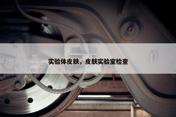 实验体皮肤，皮肤实验室检查