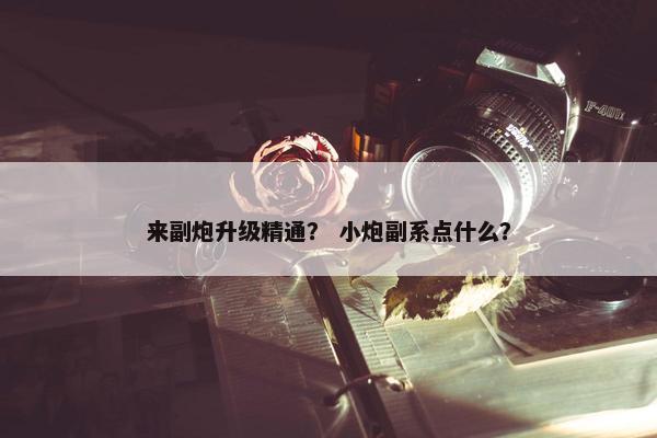 来副炮升级精通？ 小炮副系点什么？