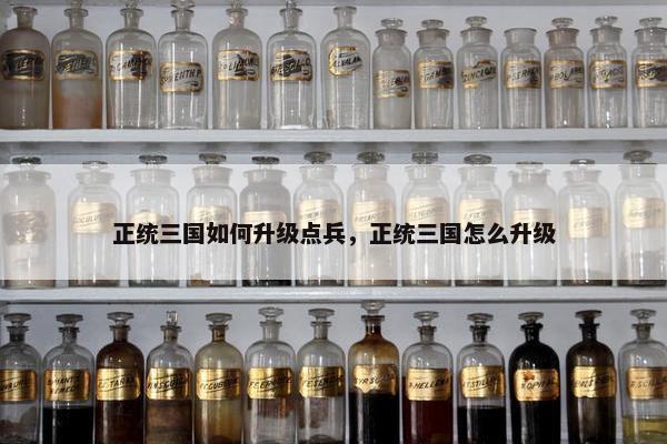 正统三国如何升级点兵，正统三国怎么升级