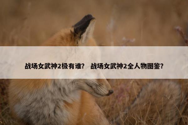 战场女武神2极有谁？ 战场女武神2全人物图鉴？