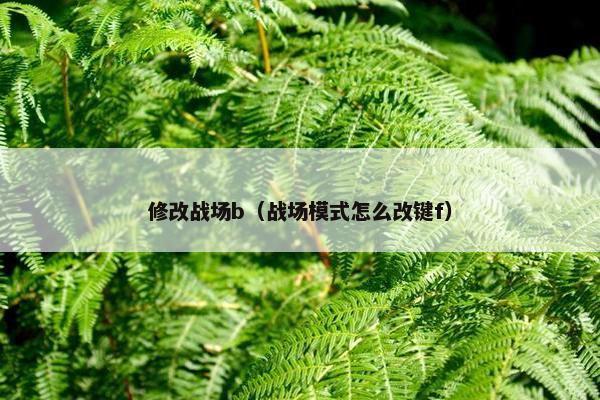 修改战场b（战场模式怎么改键f）