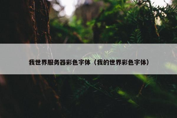 我世界服务器彩色字体（我的世界彩色字体）